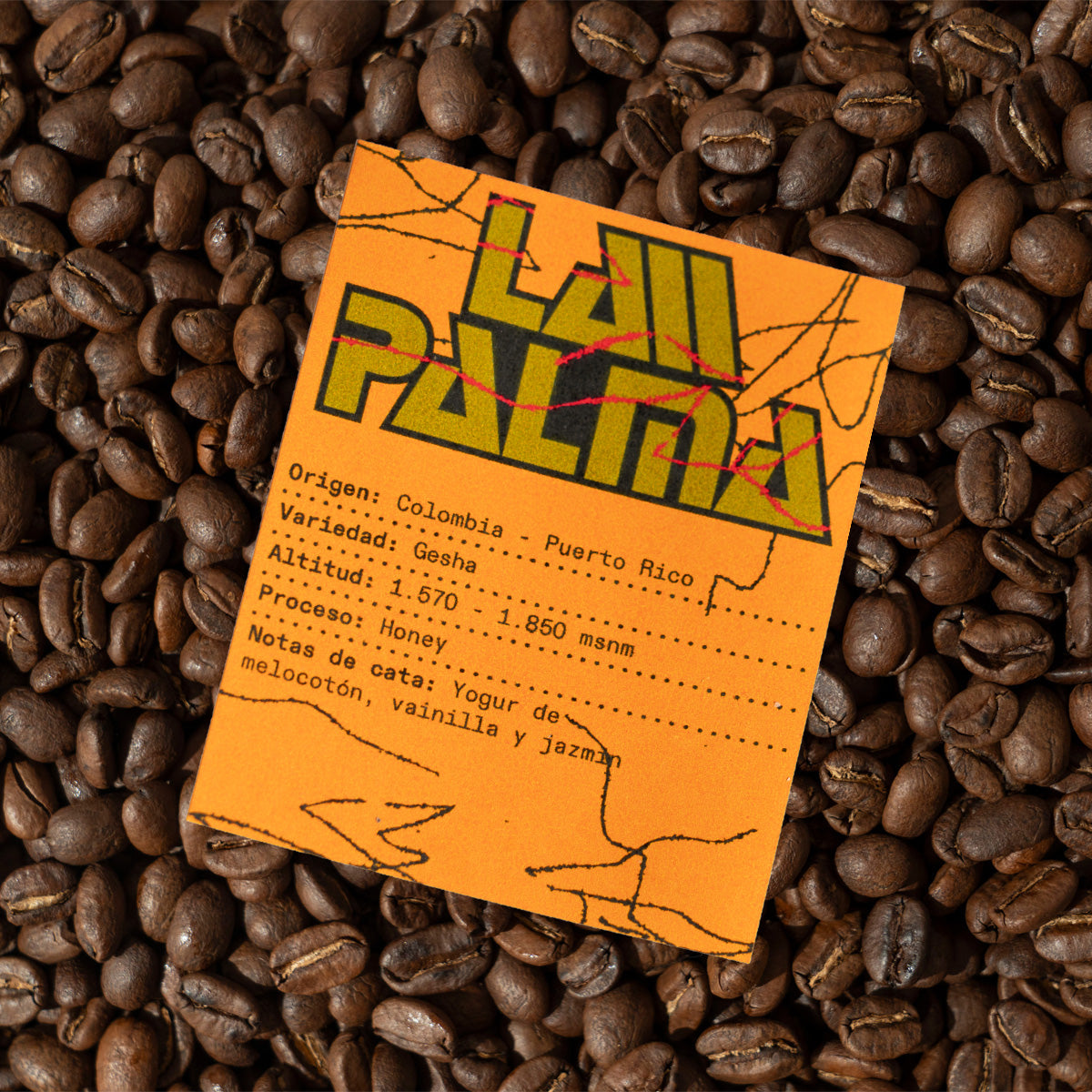 La Palma-thumbmail-3