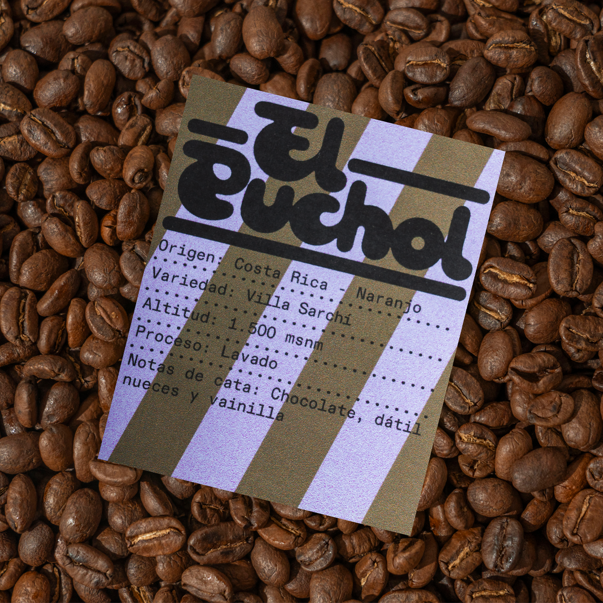 El Puchol-thumbmail-3